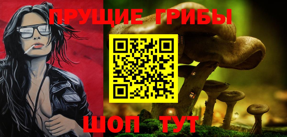 Галлюциногенные грибы Psilocybine cubensis Асино